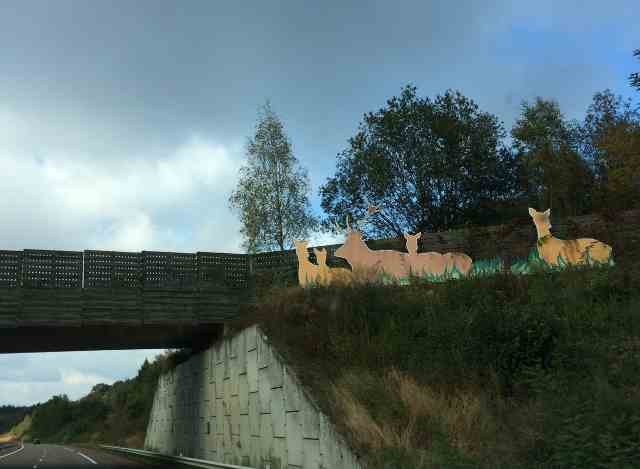 We know who this bridge was built for! In S.E.France.